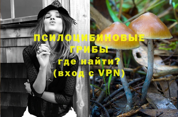 герыч Михайловск