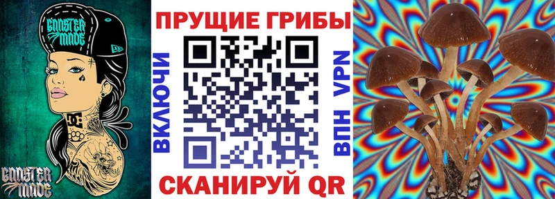 Псилоцибиновые грибы прущие грибы  shop состав  Одинцово 