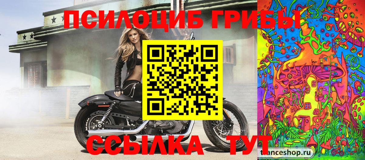 закладка  Галлюциногенные грибы Psilocybine cubensis  Одинцово  Вход с VPN  Галлюциногенные грибы Psilocybine cubensis 