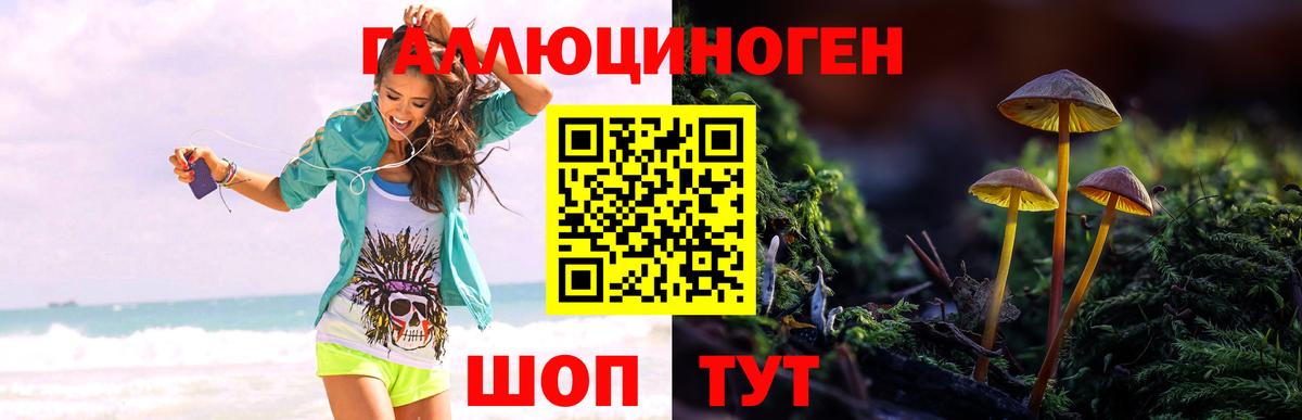 Псилоцибиновые грибы Magic Shrooms Одинцово